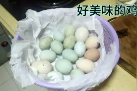 绿壳鸡蛋是真的蛋还是假的，今天让大家知道视频封面