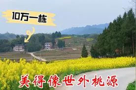 四川美丽乡村，二层楼房10万块，前有院后有园，环境如世外桃源！视频封面