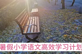 暑假小学语文高效学习计划，学霸都必须走的两个板块。视频封面