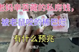 老妈辛苦藏的私房钱，被老鼠咬的稀巴烂，有什么预兆
