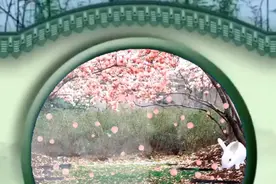 分享一首欢快的古风歌曲《桃花笑》，在轻快甜美的旋律中缓解心情视频封面