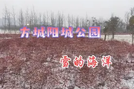 河南方城最大的阳城公园，29.5万平方建筑550平方。成雪的海洋视频封面