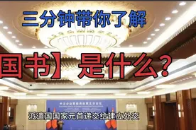 驻国大使递交国书，你知道“国书”是什么吗？视频封面