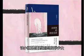 房思琪的初恋乐园视频封面
