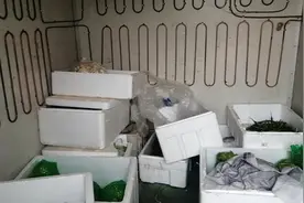 自己组装一个小型冷库几百块钱就够了，不信我来带大家看一下！视频封面