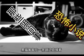 老人常说的阴兵借道   大家来听听我的恐怖小说视频封面