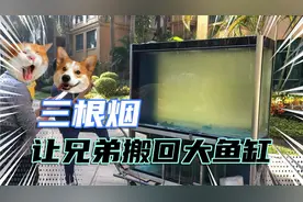 3根烟，换到1万元的大鱼缸？你也可以做到。视频封面