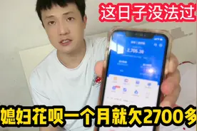 媳妇用钱真厉害，花呗一个月就欠2700多，这日子没法过了视频封面