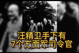 抗战时期，汪精卫手下共7个方面军，司令官都是谁？视频封面