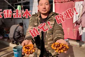 浑然天成的天雷击木，收到无数人的热情追捧，只是因为力量太神奇视频封面