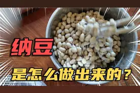 纳豆的功效，润肠通便，调节血糖，溶解血栓，调节血脂，排毒养颜视频封面