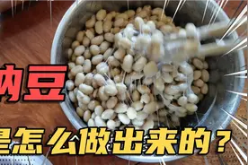 纳豆的功效，润肠通便，调节血糖，溶解血栓，调节血脂，排毒养颜