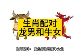 生肖配对，属龙男和属牛女视频封面