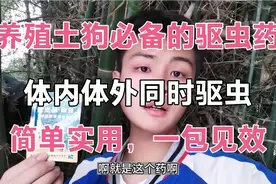 新手养殖土狗！必备的体内外驱虫药！简单实用！一包见效视频封面