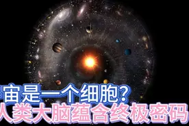 2021宇宙惊天异变！人类可能生活在一个细胞里，而且永远无法逃脱视频封面