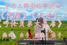 慢节奏抒情草原爱情三部曲《鸿雁》《天边》《呼伦贝尔大草原》视频封面