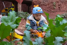 不放任何调料，小妹儿也能做出美食，这小土豆烧肥肠真是绝了视频封面