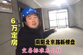 河南南阳这样的新楼盘，6万定房子首付可以分期，交房标准是这样视频封面