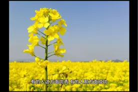 北大教授吐槽女儿:我教她逆天改命，她却叫我认命视频封面