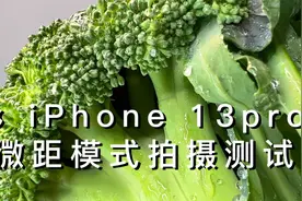 苹果手机iPhone13pro微距测试，终于不再被安卓吊打？这用的真香视频封面