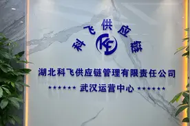 湖北科飞供应链管理有限责任公司•武汉运营中心视频封面