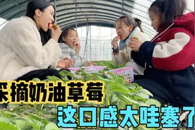 这妈妈对三个女儿真好，这么贵的草莓也舍得买，嘴巴真是太馋了！视频封面