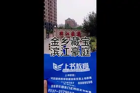 金乡上书教育藏宝视频封面