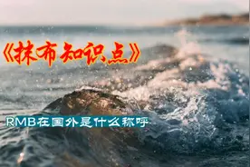 RMB在国外是什么称呼？视频封面