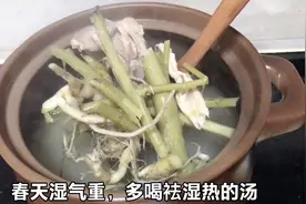 勒苋菜头袪湿之王，广东人用来煲鸡能去除一身湿气，汤甘香好喝！视频封面