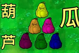 一根藤上七个瓜！视频封面