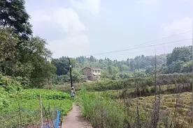 给单身哥送避暑的药，不注意安全我发了火，他可能不安逸我得狠视频封面