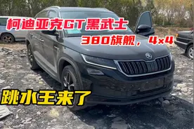 跳水王又来了，斯柯达柯迪亚克GT黑武士，2.0T380旗舰4×4视频封面