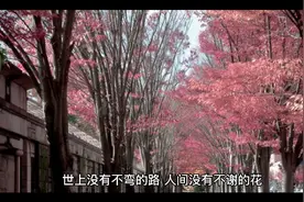 正能量积极向上的句子，经典励志，振奋人心！视频封面