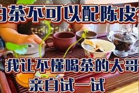 白茶配陈皮到底是不是智商税？茶的原味很重要，学会搭配也不错。视频封面