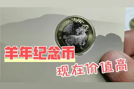 2015年羊年生肖纪念币，听说很值钱，你家里有没有视频封面