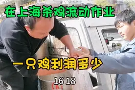 山东人在上海杀鸡，疫情前后店铺生意变化大，杀一只鸡利润多少视频封面