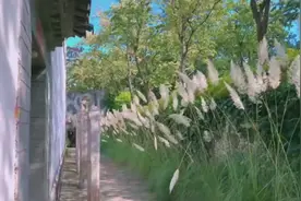 侯牧人演唱红歌《我们走在大路上》视频封面
