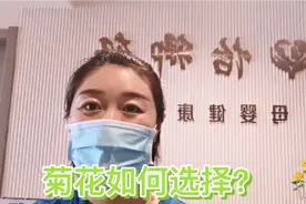 黄菊花，白菊花，我们该如何选择？视频封面