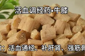 牛膝，唯一一味引火（血）下行的中药。视频封面