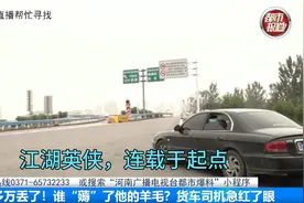 河南都市报道，协助货车司机，寻找丢失的服装视频封面