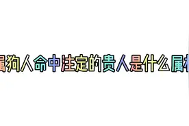 属狗人命中注定的贵人是什么属相，仅供娱乐！视频封面