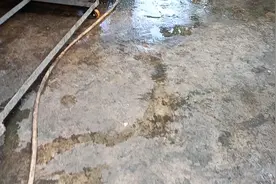 本地穿山甲就是这样处理的，各位老铁，你们认为呢？视频封面