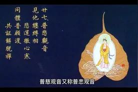 三十三观音之一普慈观音视频封面