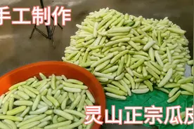 广西灵山小连教你们做黄瓜皮，简单又快，你
们想学吗视频封面