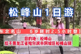 6岁男孩打卡东北名山：松峰山，耗时2.5小时登顶，1日游攻略视频封面