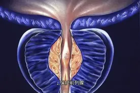 ​吃南瓜子竟然有些功效！早知道就每天吃一小把了！视频封面