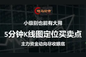 主力资金动向尽收眼底，5分钟K线图定位买卖点，小级别大作用！视频封面