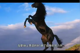 有水平的领导与没水平的领导视频封面