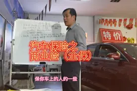 全保包含什么险种？车损险，盗抢险，玻璃险，自燃险已经在内视频封面