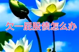 欠一屁股债怎么办视频封面